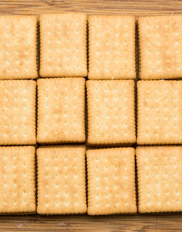 Orba Proteo Biscuit